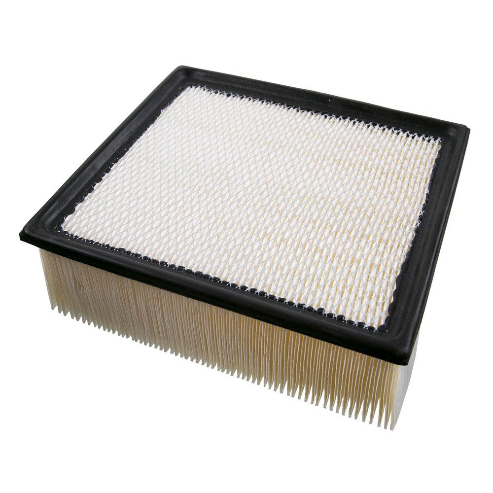 BBKH-CAP10261