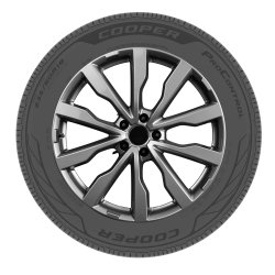 BDRB-166437021