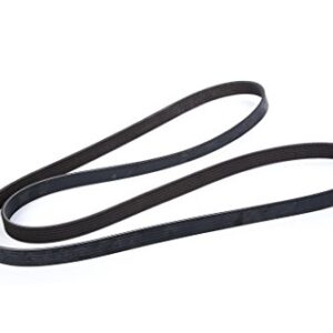 ACDelco 12636226 V-Ribbed Serpentine Belt