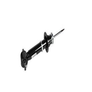 ACDelco 540573 Shock And Strut