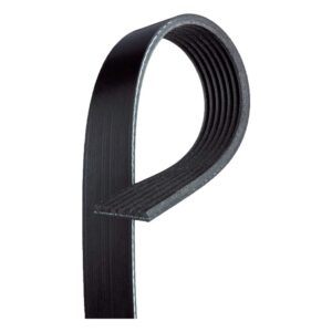 ACDelco 12634319 V-Ribbed Serpentine Belt