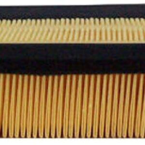 ACDelco A3169C Gold Engine Air Filter Element