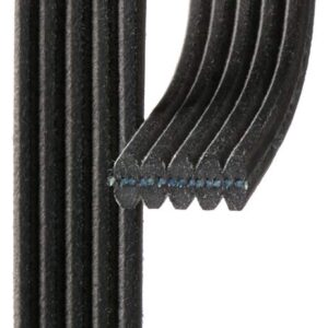 ACDelco 5DK610 VRibbed Serpentine Belt