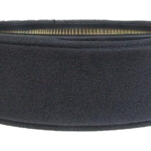 ACDelco A644C Gold Engine Air Filter Element