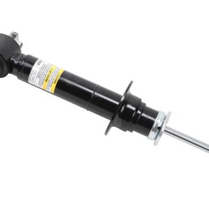 ACDelco 540616 Absorber AsmFr