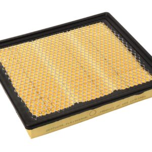 ACDelco A3175C Gold Engine Air Filter Element
