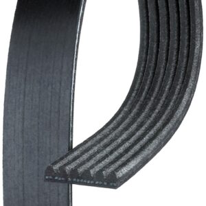 ACDelco 25183021 V-Ribbed Serpentine Belt