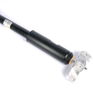 ACDelco 560820 Shock And Strut