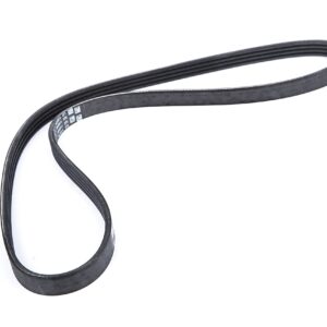 ACDelco 19172680 V-Ribbed Serpentine Belt