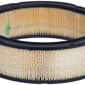 ACDelco A348C Gold Engine Air Filter Element