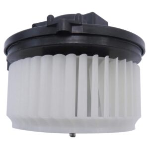 TYC Products 700325 Blower Motor