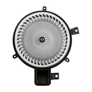 TYC Products 700252 Hvac Blower Mot