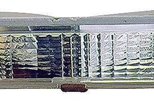 DEPO 331-1616R-US-C Signal Lamp