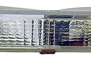 DEPO 331-1616L-US-C Signal Lamp