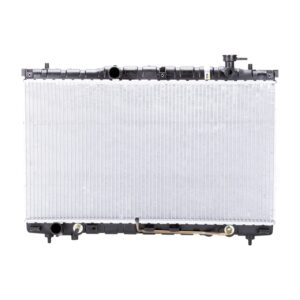 TYC Products 2389 Radiator Assemb
