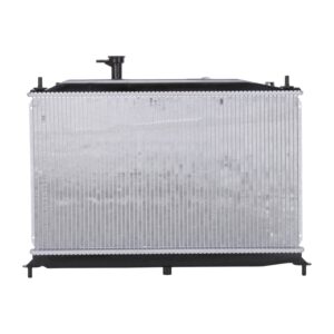 TYC Products 2896 Radiator Assemb