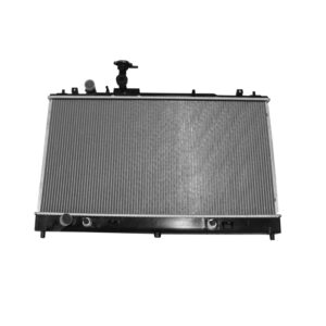 TYC Products 13053 Radiator Assemb