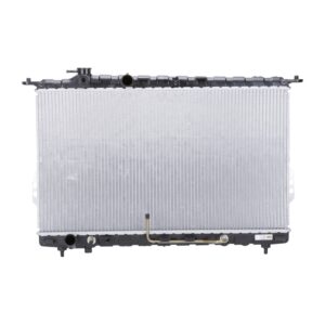TYC Products 2339 Radiator Assemb