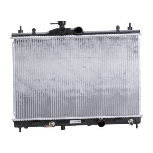 TYC Products 13002 Radiator Assemb