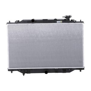 TYC Products 13317 Radiator Assemb