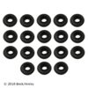 BBGB-0361941