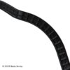 BBGB-0362081
