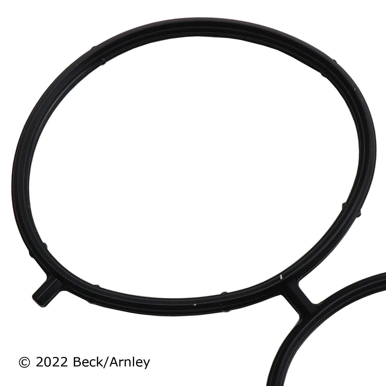 BBGB-0374881