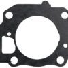 BBGB-0395065