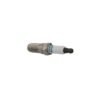 BDXX-M1240520T
