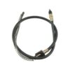 DWRT-C93196