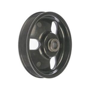 DORMAN 300-100 Power Steering Pump Pulley