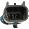 DWRT-5055504