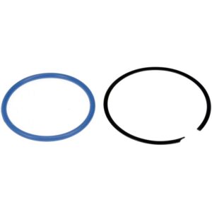 DORMAN 579-091 Lock Ring For The Fuel Pump