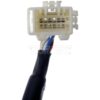DWRT-590074