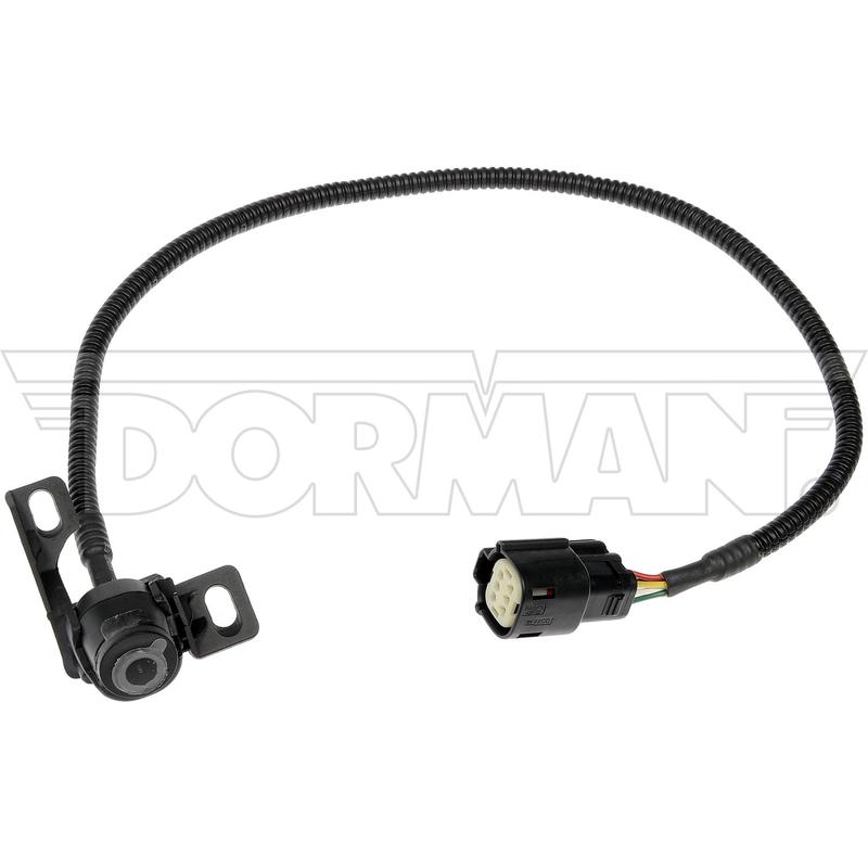 DWRT-590081