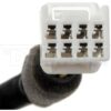 DWRT-590440