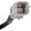 DWRT-590957