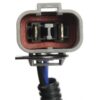 DWRT-620276
