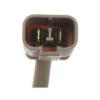 DWRT-620279
