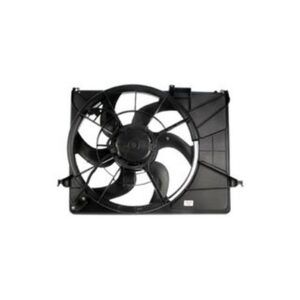DORMAN 620-494 Radiator Fan Assembly Without Controller