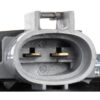 DWRT-6205604