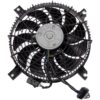 DWRT-620796