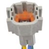 DWRT-621439