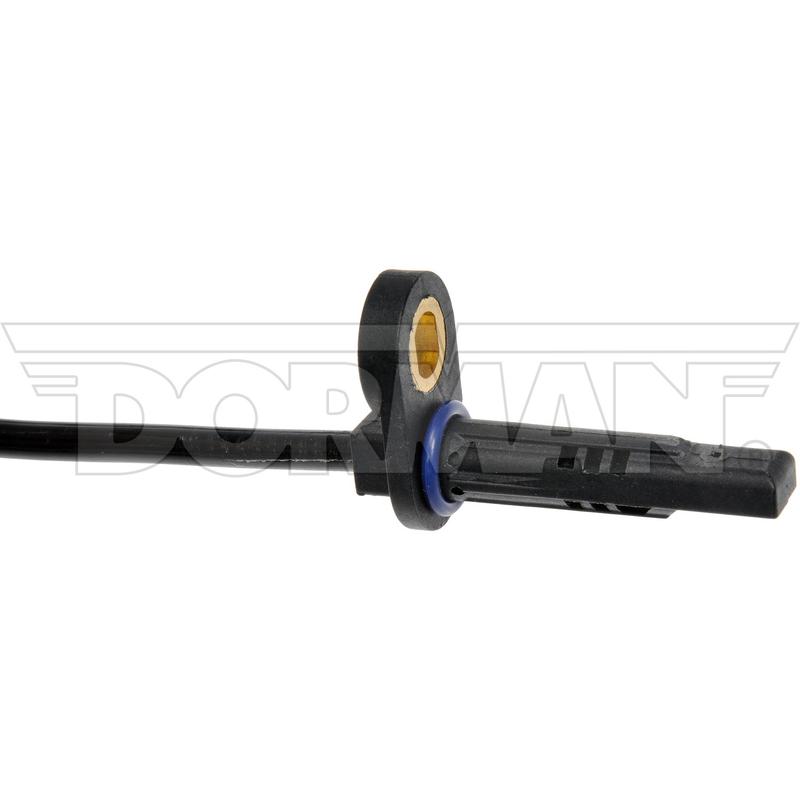 DWRT-695970