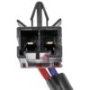 DWRT-741148