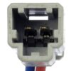 DWRT-741303