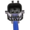 DWRT-741374