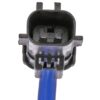 DWRT-741375