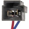 DWRT-741538
