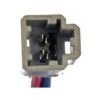 DWRT-741565